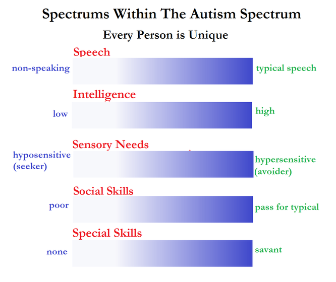 Spectrums within the autism spectrum. Every person is unique. Spectrum of speech, non-speaking to typical speech. Spectrum of intelligence, low to high. Spectrum of sensory needs, hyposensitive (seeker) to hypersensitive (avoider). Spectrum of social skills, poor to pass for typical. And spectrum of special skills, none to savant.